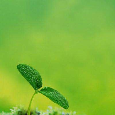 氷玥中文汉化版下载