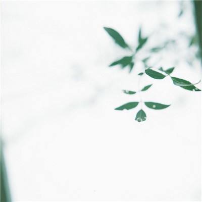 锻造幻想forged fantasy内购破解版下载